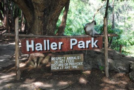 Haller Park Mombasa